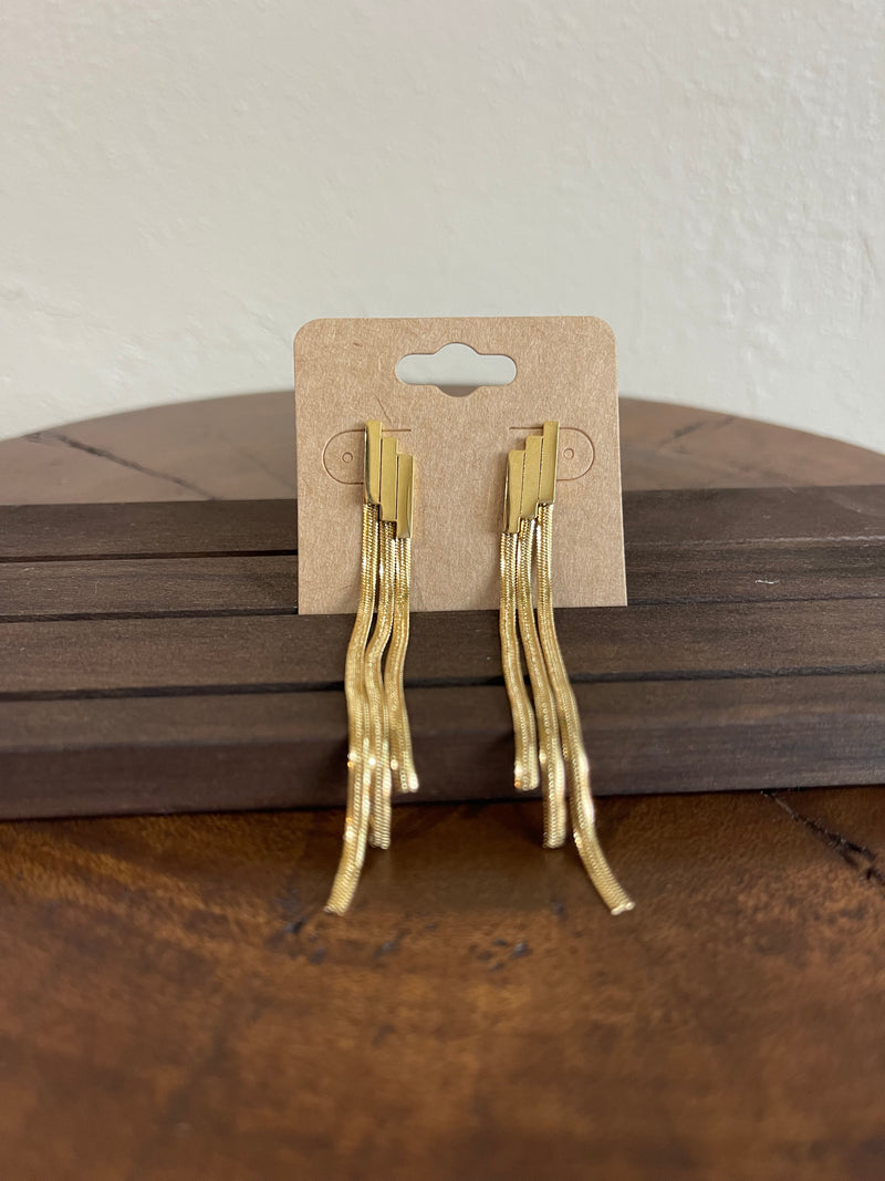 Earrings Y