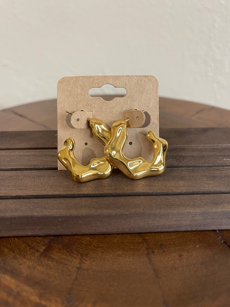 Earrings G