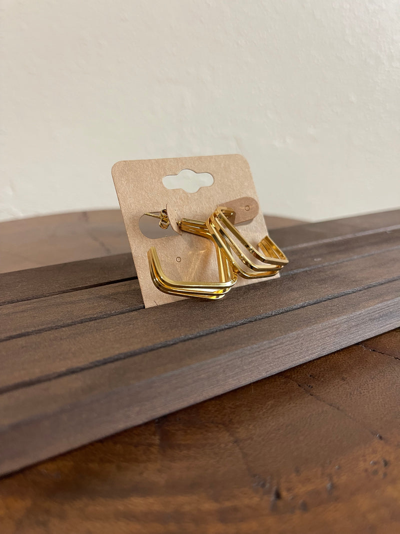 Earrings F