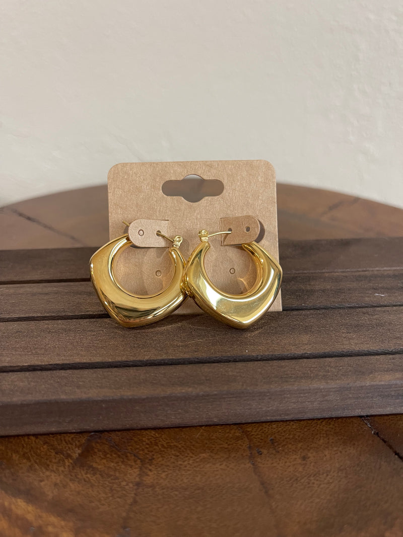 Earrings N