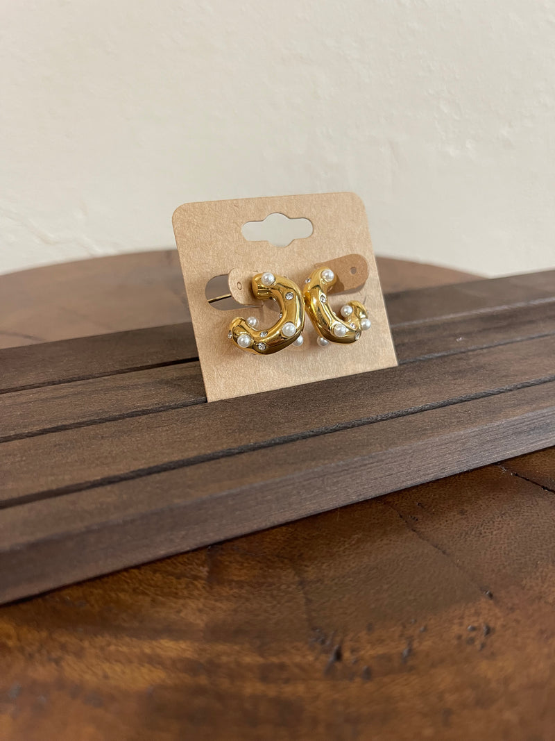 Earrings E
