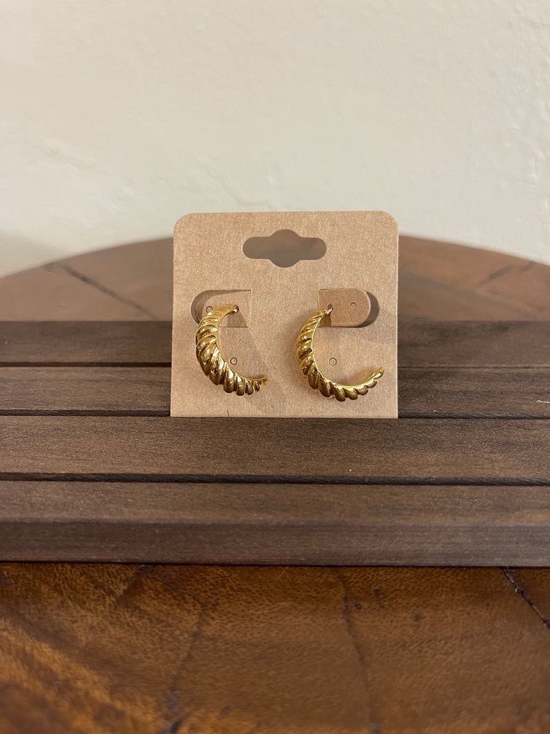 Earrings J