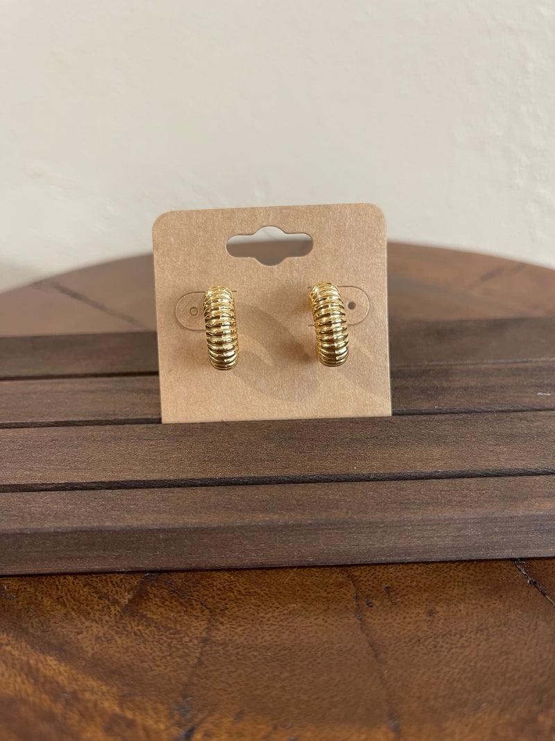Earrings H