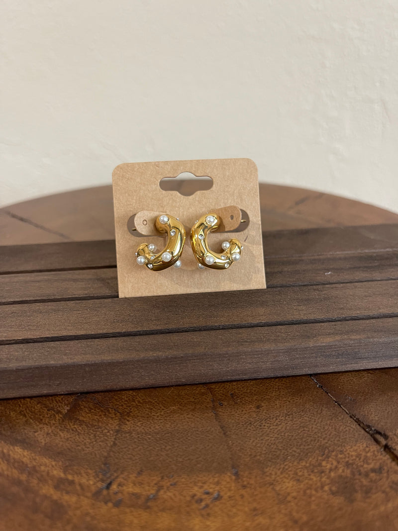Earrings E