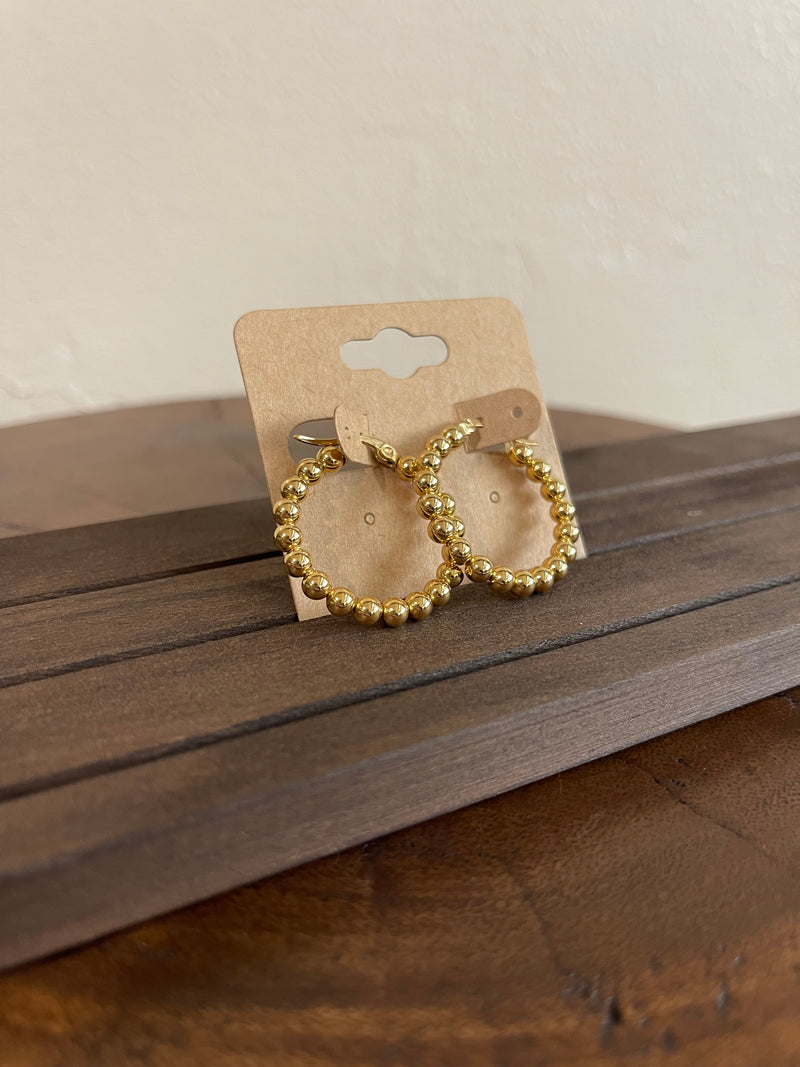 Earrings P