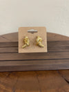 Earrings V