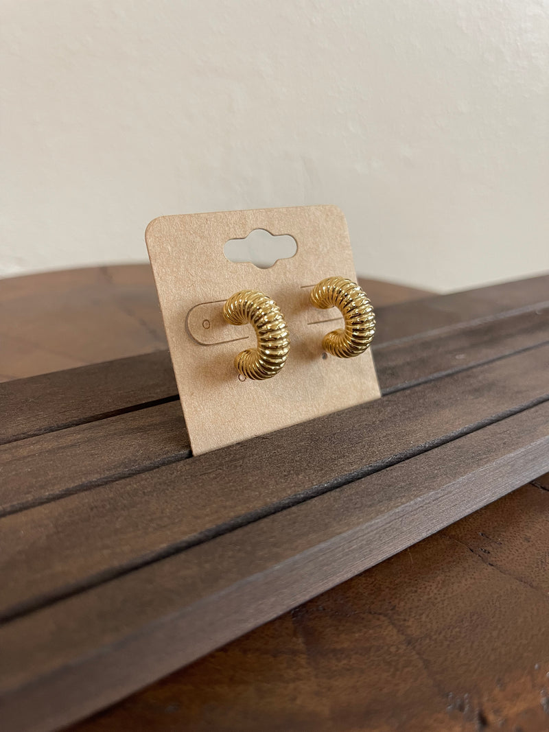 Earrings H