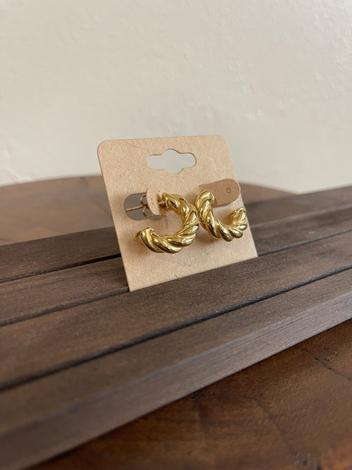 Earrings R
