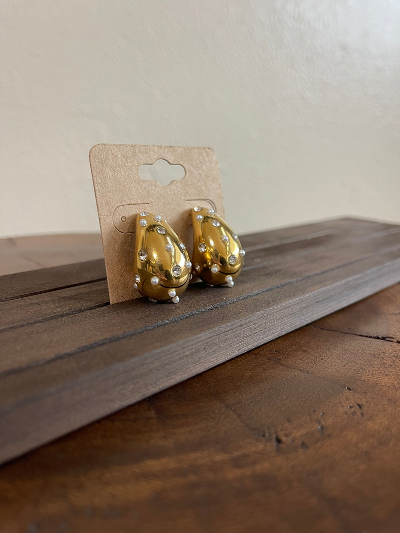 Earrings E1
