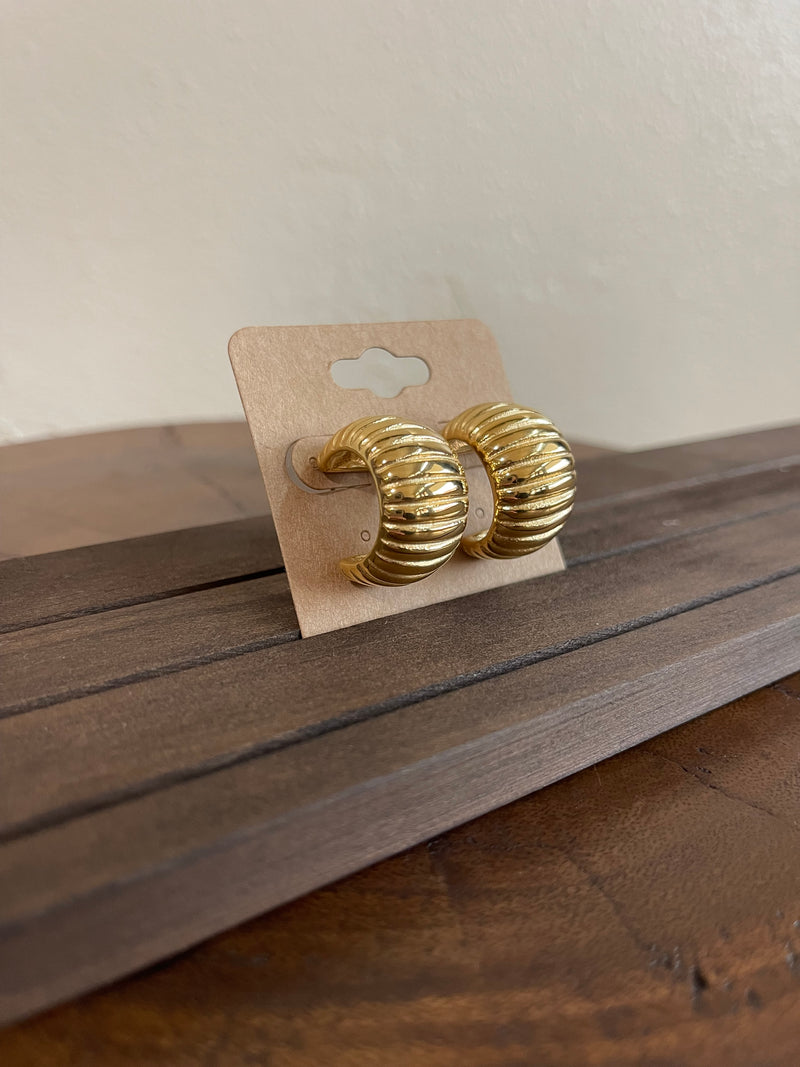 Earrings B