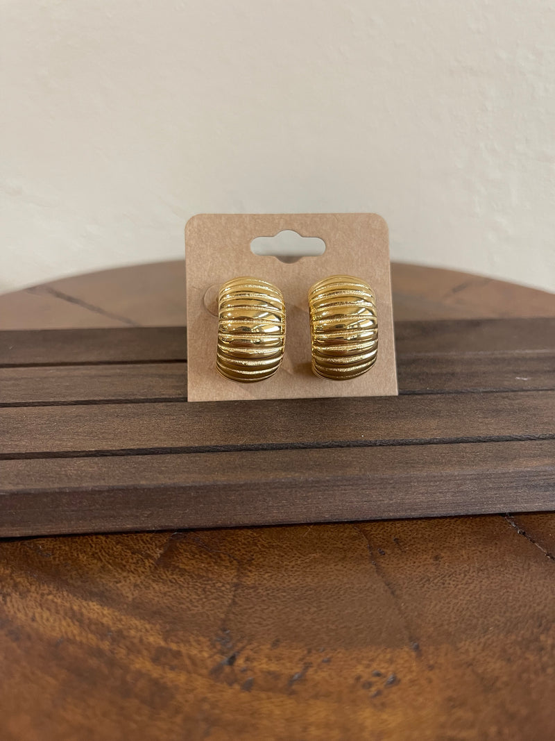 Earrings B