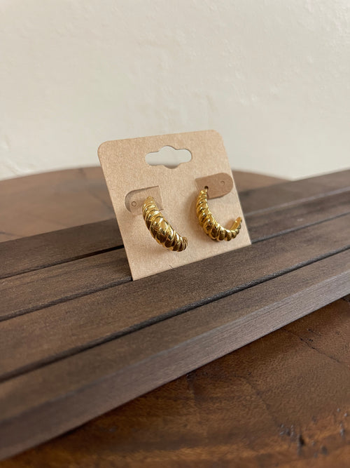 Earrings J